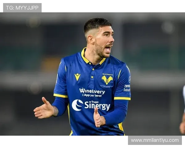 米兰app官网登录入口登录指南，详细步骤帮助用户顺利登录米兰app